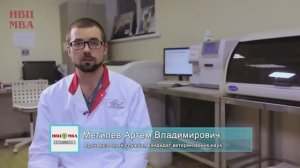 НЕТ АППЕТИТА у вашего питомца, вздутие живота_ Ветеринар о диагностике желчного пузыря.