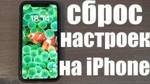 Как сбросить настройки до заводских на любом iPhone ? На примере iPhone 11
