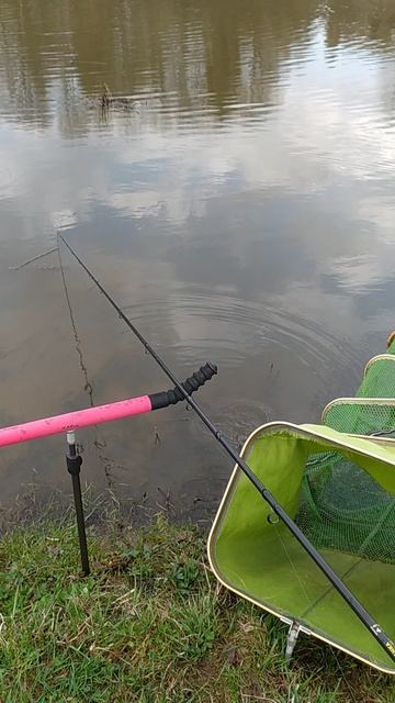 Открытие сезона 2025 г. смотреть онлайн