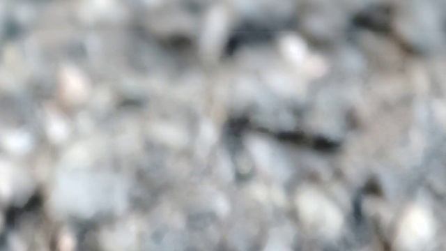 фильм ужасов. гусеница смотреть онлайн