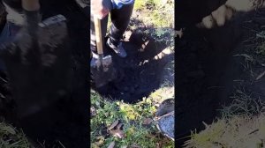 как начать копать колодец или просто круглую яму