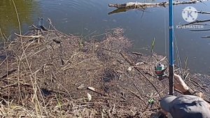 05.05.2024 Рыбалка на ерике в Среднеахтубинском районе.