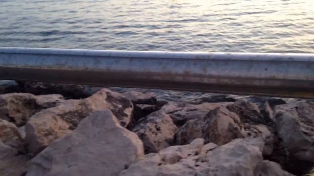 Прогулка по берегу моря смотреть онлайн