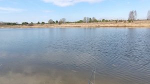 Начинаем 2025г
походил 2 часика