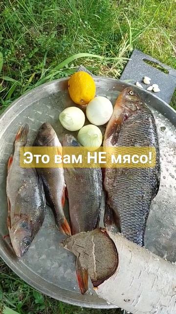 НЕ мясо, копчёное🍻   #коптильня #рыбалка #футблогер #млм