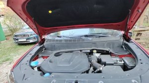 Changan CS35 газовые упоры капота