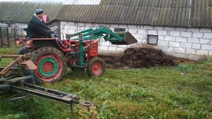 Т-25+КУН, погрузка навоза