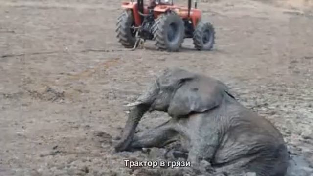 Трактор в грязи