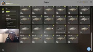 БЕЗУМНАЯ ТОЧКА на РЕКОРДНУЮ ТРОФЕЙНУЮ СТЕРЛЯДЬ и ТРОФЕЙНОГО САЗАНА на Суре в Русской Рыбалке 4! РР4