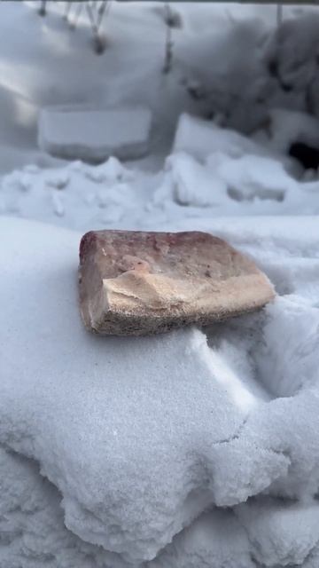 Копальхем. Смертельный деликатес из Арктики. Для чего чукчи и эскимосы заготавливают тухлое мясо?