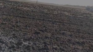 Догружатель ЮМЗ вся суть и опять не повезло