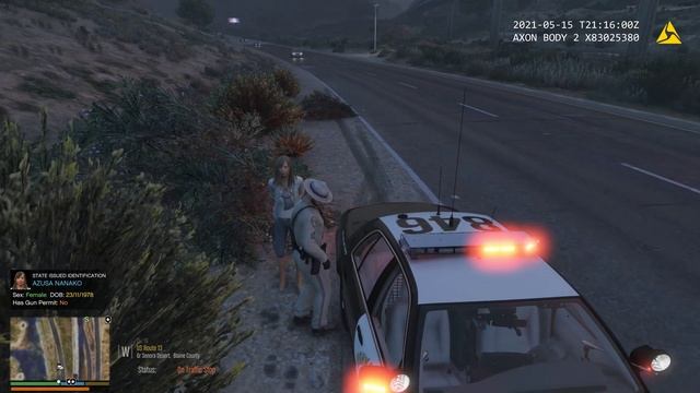 GTA V | LSPDFR 0.4.9 | Day-44 | SAHP/CHP | Shutting Down The Freeway | 4K |
