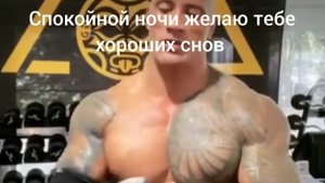 спокойной ночи