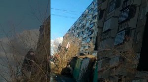 искатели приключений. как дети упали с дерева в лужу, когда я уехал