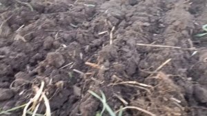 весенняя дисковка