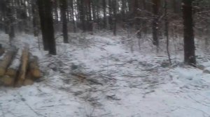 трелёвка по лесу, самодельный захват, видео 3, Гидрозахват своими руками, Трелёвка леса