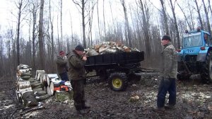 Возим дровишки на МТЗ 80 с прицепом 2ПТС4