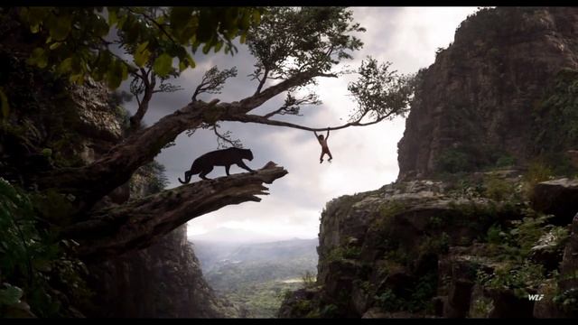 Jungle Jungle Baat Chali Hai   The Jungle Book Song смотреть онлайн