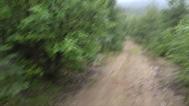 Дождался. Я на них попал! Северная грибалка. смотреть онлайн