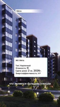 Красноярск | ЖК Мята Записаться на консультацию  8913-590-4795 Анатолий