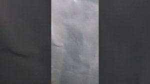 Обзор двухосного прицепа Rinal 1530