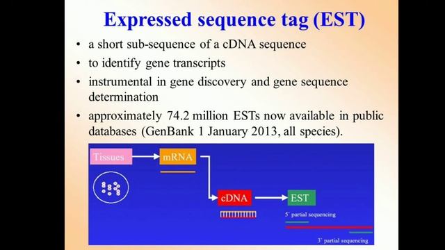 Human Genome project, Class XII CBSE,ppt