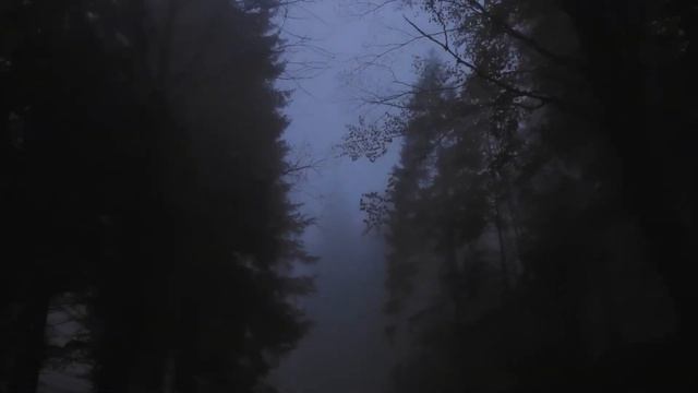 ПЯТЬ ЛЕТ ЖИЛИ В ЗАПЕРТОЙ ИЗБЕ | Страшные истории на ночь. Ужасы