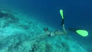 💗👽💗Freediving🦋👽🦋