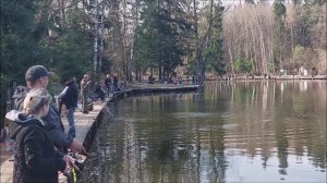 После запуска хорошо работает актив. Клёвое место, Лосиный остров, нижний водоём.