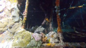 Ночной дайвинг на Бали (Амед) / Bali night diving (Amed beach site)