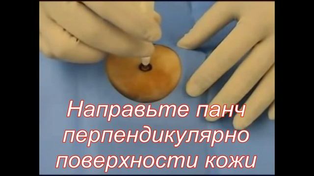 The Punch Biopsy перевод