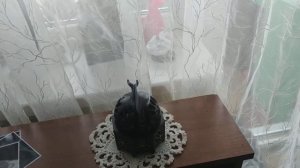 Бахурница