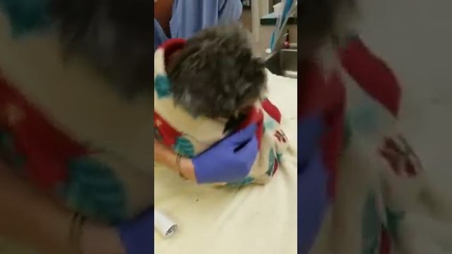 Mario Update смотреть онлайн