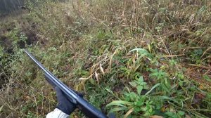 Охота на уток на лесной речке.