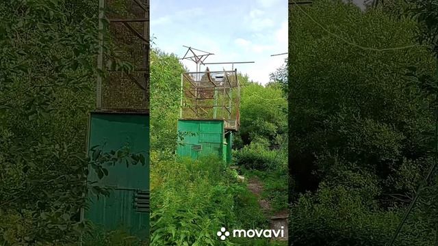 Ржевский лесопарк  30.07.2024г