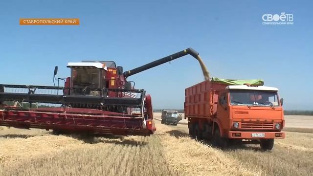 Аграрии Ставрополья вышли на финишную прямую