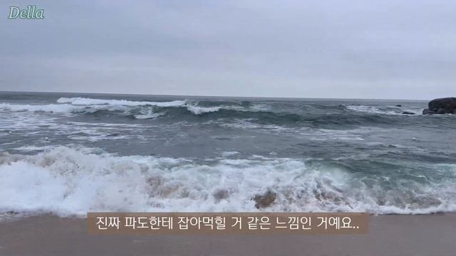 vlog•sub 강릉 여행🌊 무너져버린 J들의 계획표👻 먹는걸로 행복해진 2박 3일 브이로그💙