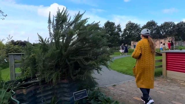 Part 2: Auckland Botanical Garden | Cherry Blossom experience | Alexa Cayetano смотреть онлайн