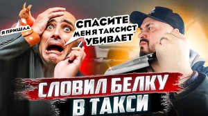 Пассажир Такси СОШЕЛ С УМА / Таксист ХОЧЕТ УБИТЬ Пассажира Такси /  Бухой НЕАДЕКВАТ словил Белку