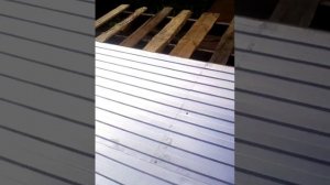 Самодельный Кун  на Т-16