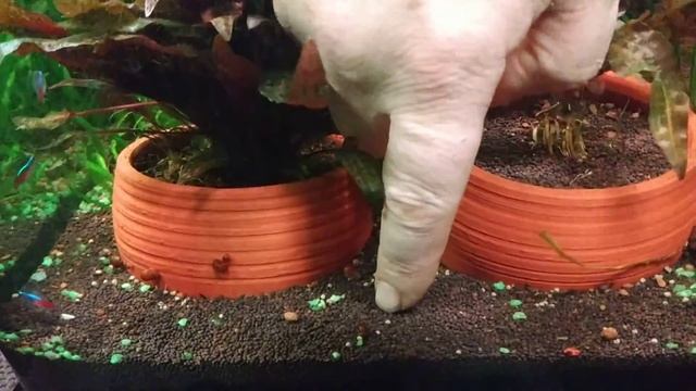 17 декабря 2021 г. смотреть онлайн