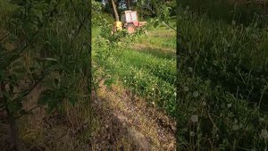 Трактор т-25 + опрыскиватель садовый polmark.