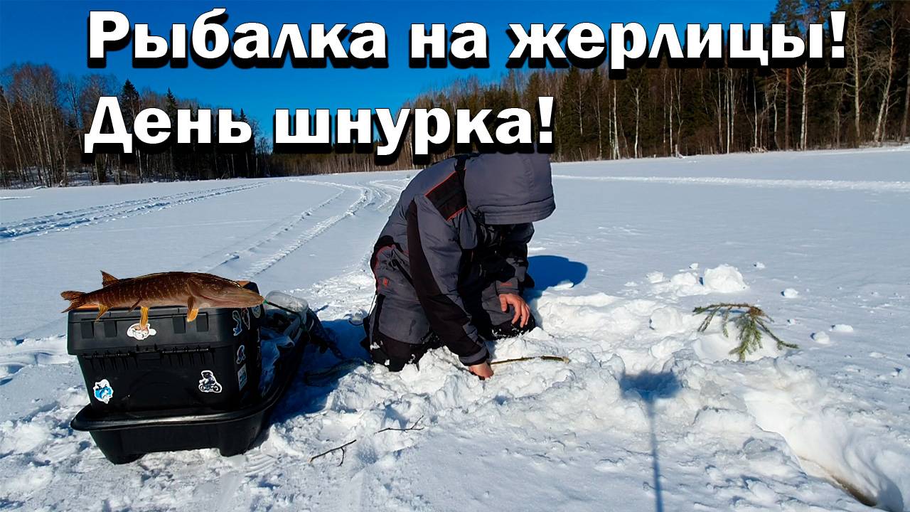 Рыбалка на жерлицы! День шнурка! Под конец сезона щука активизируется и радует своими поклёвками!