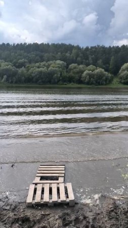 Река Ока в Тульской области. Лето 2024 г.