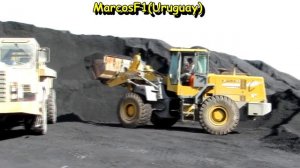 SDLG 956 Wheel Loader