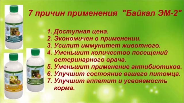 ЭМ-технология Псков,Псковская область (опыт 2015-2018 гг) смотреть онлайн