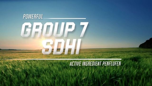 EverGol Prime and Prosaro - Powerful Solutions for Wheat, Barley and Oat Crops - 72 sec смотреть онлайн