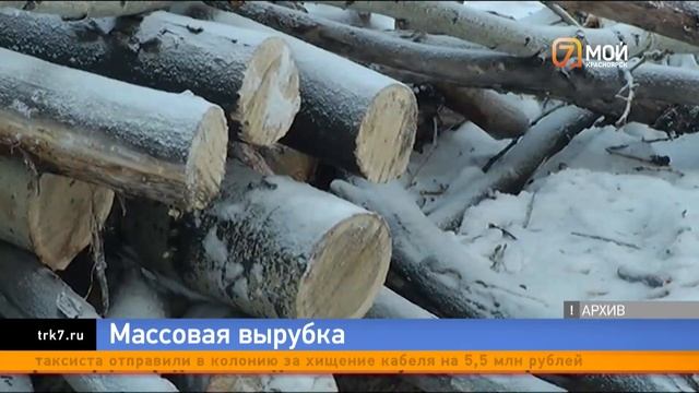 Красноярский «Парк Троя» заплатит 50 тысяч рублей штрафа за неправильную обрезку деревьев