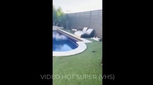 Забавные ПРИКЛЮЧЕНИЯ пушистых друзей