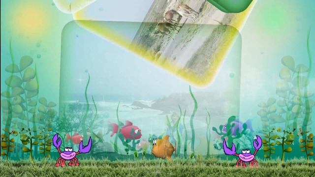 Proshow Producer Project Отдых в Марокко смотреть онлайн